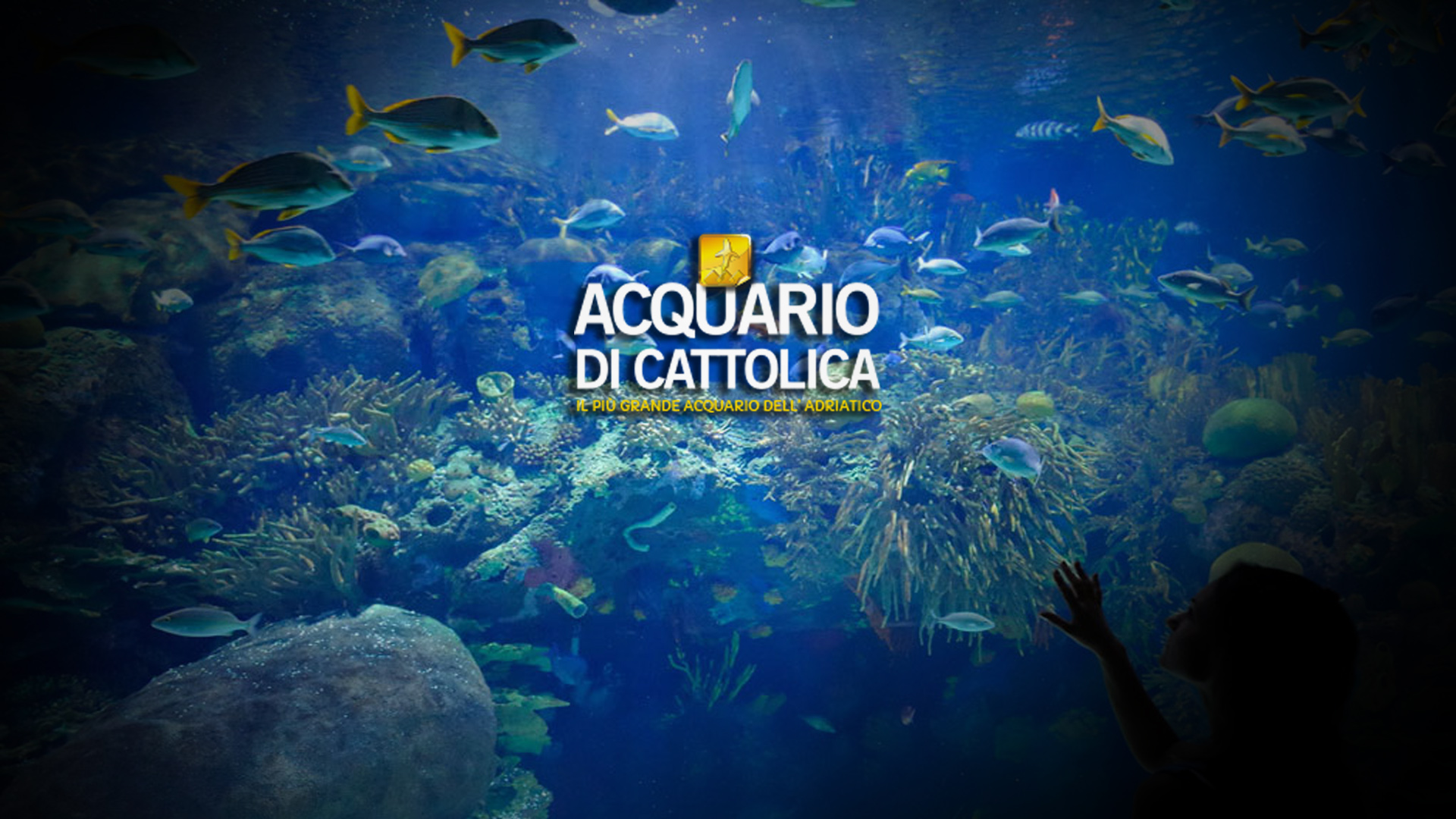 Acquario di Cattolica