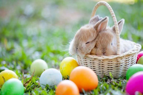 Pasqua a Rimini | Hotel Ardesia – Offerta Primavera con Colazione e Relax